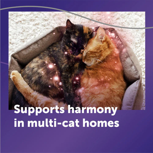 FELIWAY® Optimum Diffuser Kit